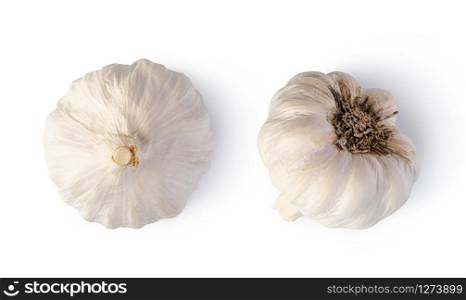 Fresh garlic isolated on white background. Fresh garlic on white background
