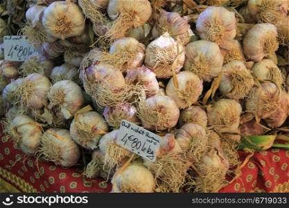 Fresh garlic on a french market in the Provence
