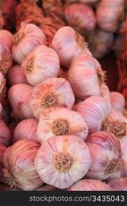 Fresh garlic on a market in the Provence, France
