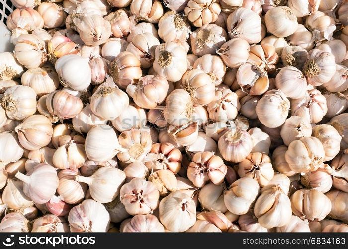 Fresh garlic on the market