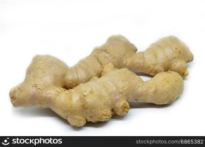 Fresh ginger isolated on a white background.