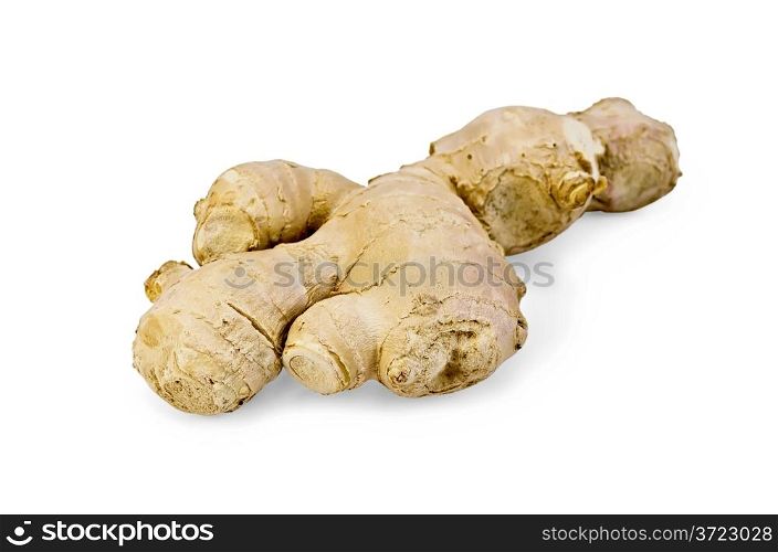 Fresh ginger root isolated on white background