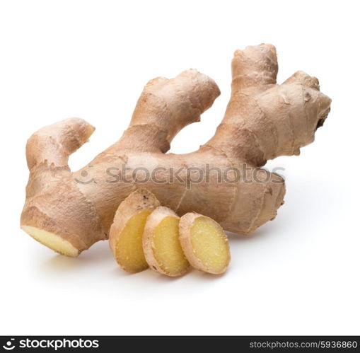 Fresh ginger root or rhizome isolated on white background cutout