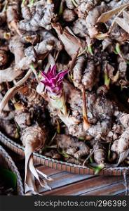 Fresh ginger roots with its pink flower in bamboo tray, exotic tropical herb