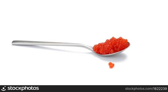 fresh grained red chum salmon caviar in metallic spoon, white background