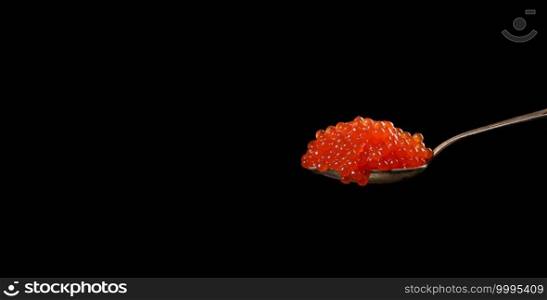fresh grainy red chum salmon caviar in a metal spoon, delicious and healthy food, black background, copy space