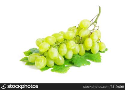 fresh grape fruits with green leaves isolated on white background