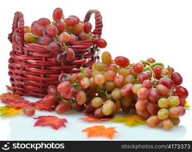 fresh grape in a basket