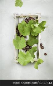 Fresh grape in wooden box. Top view, beton background