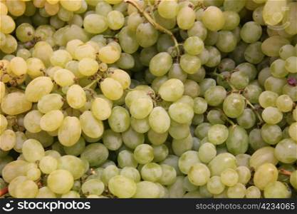Fresh grapes at a Provencal market in France