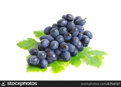 Fresh grapes brunch with green leafs