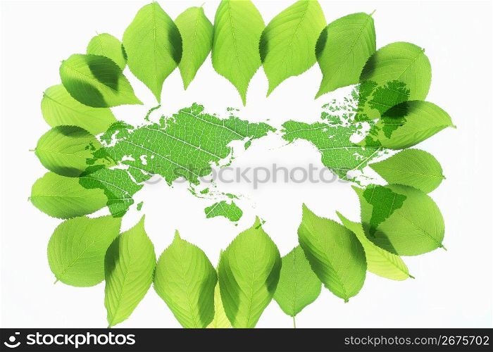 Fresh green and World map