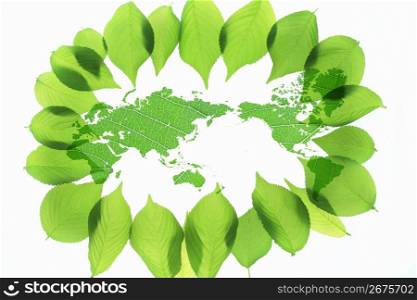 Fresh green and World map