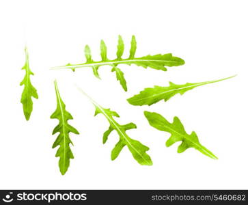 Fresh green arugula heap isolated on white