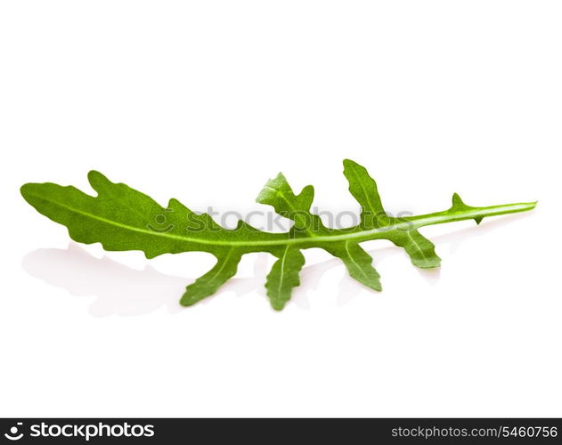 Fresh green arugula heap isolated on white