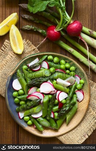 Fresh green asparagus, radish and pea salad served on plate, ingredients on the side, photographed overhead with natural light