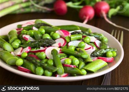 Fresh green asparagus, radish and pea salad served on plate, photographed on dark wood with natural light (Selective Focus, Focus in the middle of the salad)