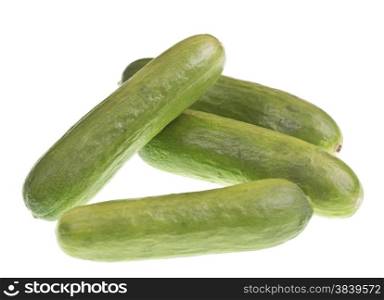Fresh green baby cucumbers excellent to eat as a snack