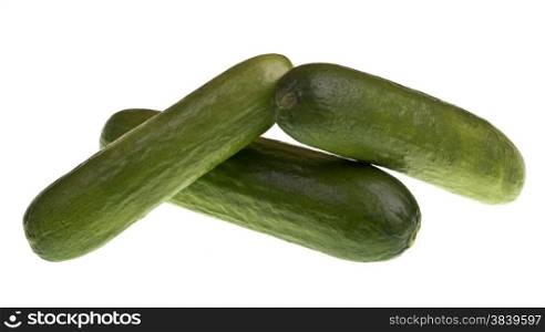 Fresh green baby cucumbers excellent to eat as a snack