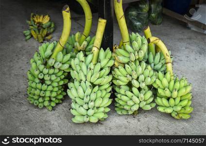 fresh green banana for sale in the local market fruit asian