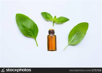 Fresh green basil leaves with essential oil isolated on white