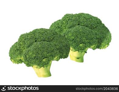 fresh green broccoli isolated on white