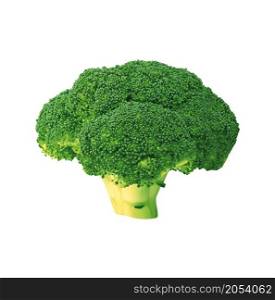 fresh green broccoli isolated on white background. fresh green broccoli isolated