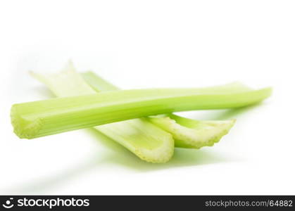 Fresh green celery isolated on white background