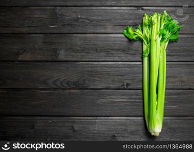 Fresh green celery. On black wooden background. Fresh green celery.