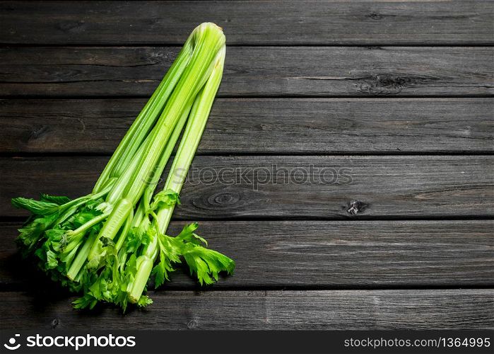 Fresh green celery. On black wooden background. Fresh green celery.