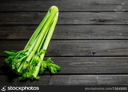 Fresh green celery. On black wooden background. Fresh green celery.