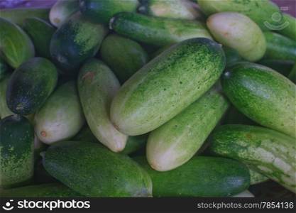 Fresh green cucumber collection on market close up