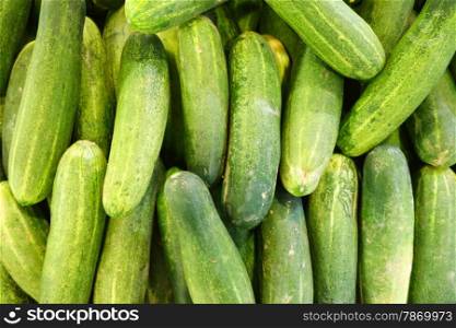Fresh green cucumber collection outdoor on market. Fresh green cucumber collection outdoor