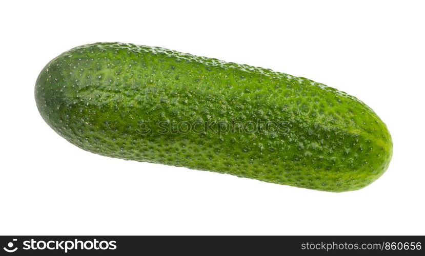 fresh green cucumber isolated on white background