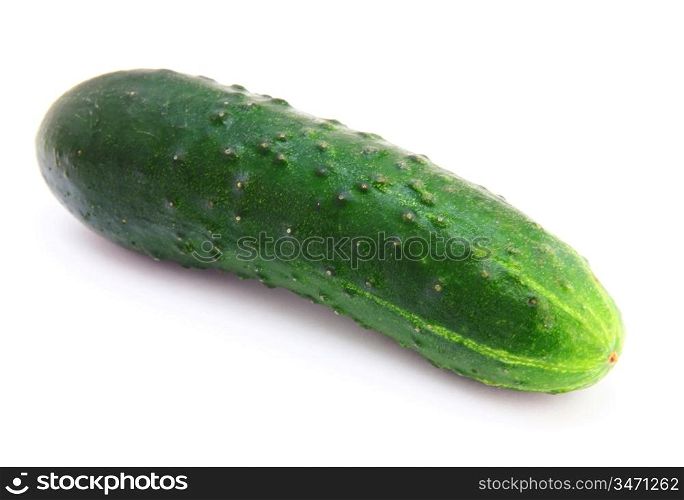 Fresh green Cucumber on a white background