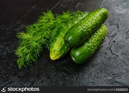 Fresh green cucumber on black background