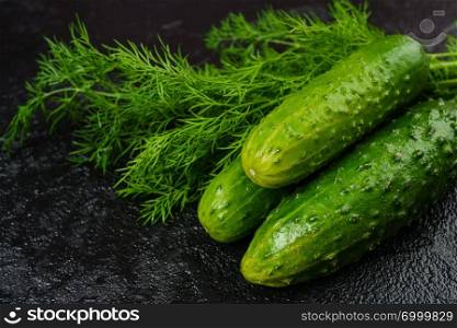 Fresh green cucumber  on black background