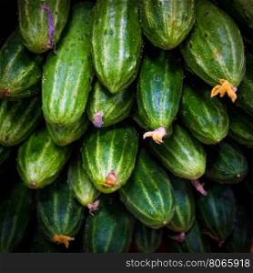 fresh green cucumber on market
