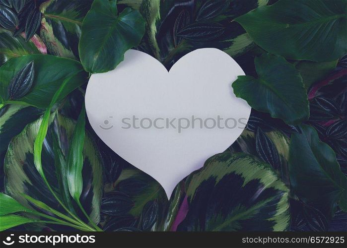 fresh green exotic leaves frame with copy space on paper note in shape of heart, retro toned. fresh green leaves