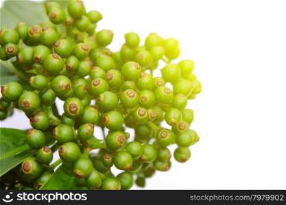 fresh green fruit isolated on a white background