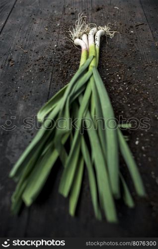 Fresh green garlic on dark wooden table.