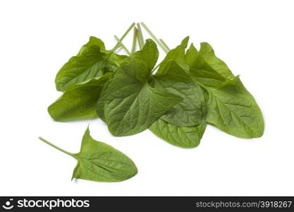 Fresh green Good-King-Henry vegetable leaves on white background