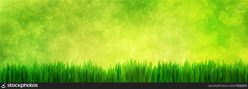 Fresh green grass panorama on natural blur nature background with light sparkles and glitter. Super high resolution, premium quality banner.