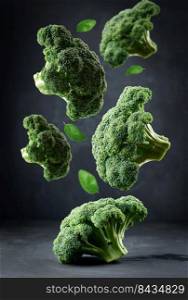 Fresh green head of broccoli on black background. Vegetables levitate