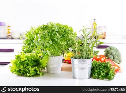 fresh green herbs and vegetables in the kitchen