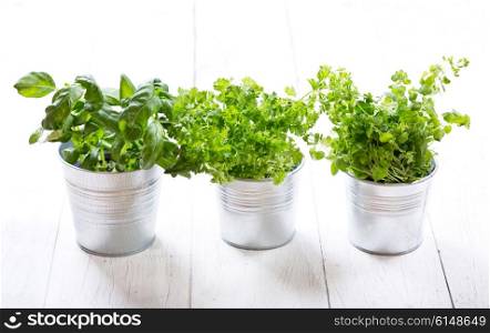 fresh green herbs in pots on a wooden table