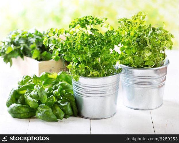 fresh green herbs in pots on wooden table