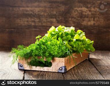 fresh green herbs in wooden box