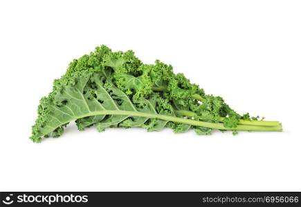 fresh green kale leaves vegetable isolated on white background