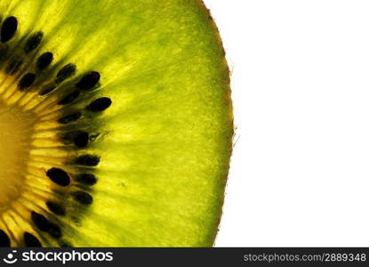 fresh green kiwi slice isolated